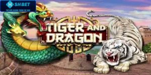 Cách Chơi Rồng Hổ SHBET