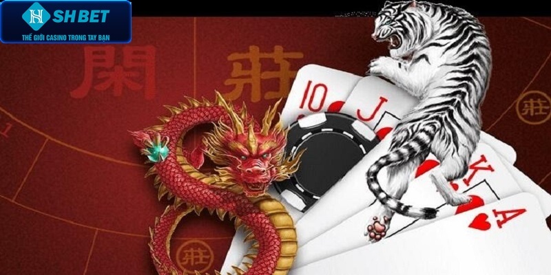 Cách tham gia rồng hổ đơn giản và chuẩn nhất 