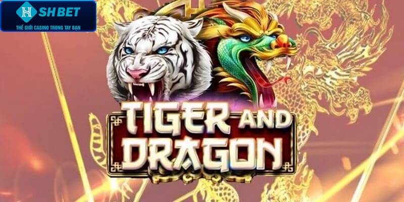 Bí quyết chơi rồng hổ bất bại trước đối thủ 